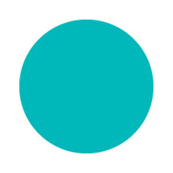 20115SE PEACOCK BLUE SHEET