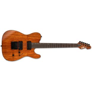 TE-1000 EVERTUNE KOA NATURAL GLOSS