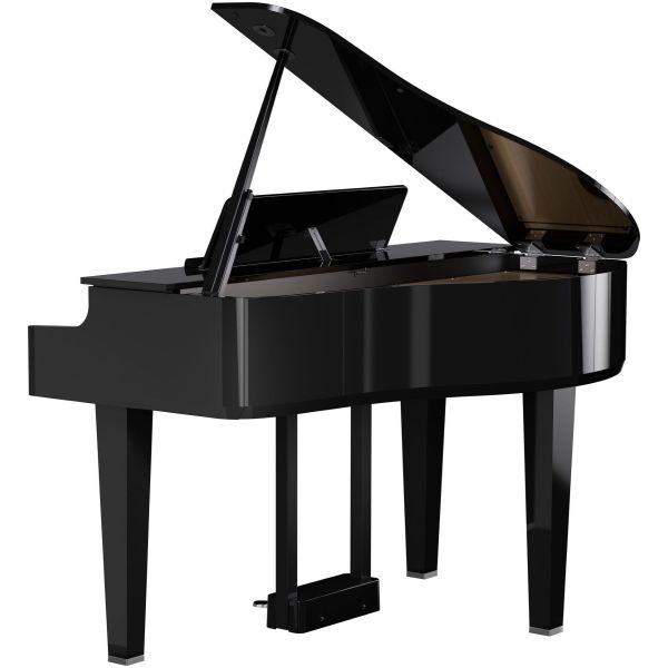 GP-6 PE