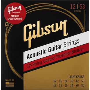 PHOSPHOR BRONZE ACOUSTIC GUITAR STRINGS 12-STRING LIGHT...
