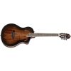 TOUR PLAYER ACA BURST