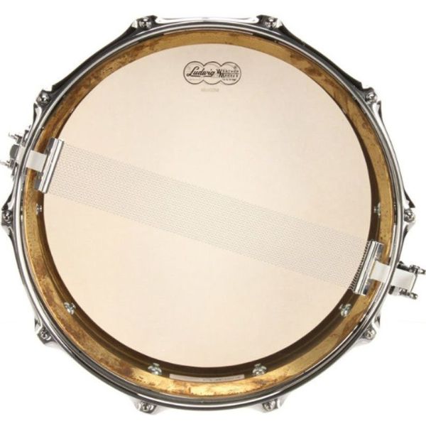 LB464R 14x6.5 RAW BRASS PHONIC