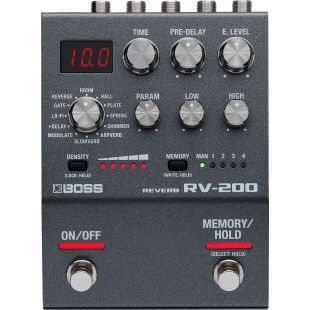 RV-200 REVERB