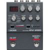 RV-200 REVERB