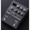 RV-200 REVERB