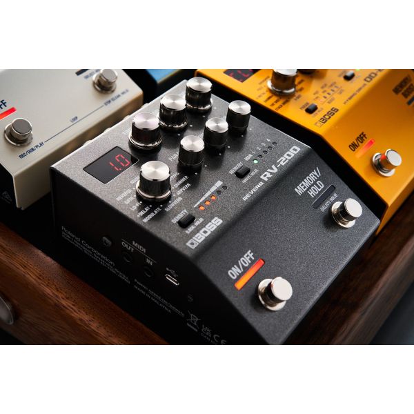 RV-200 REVERB