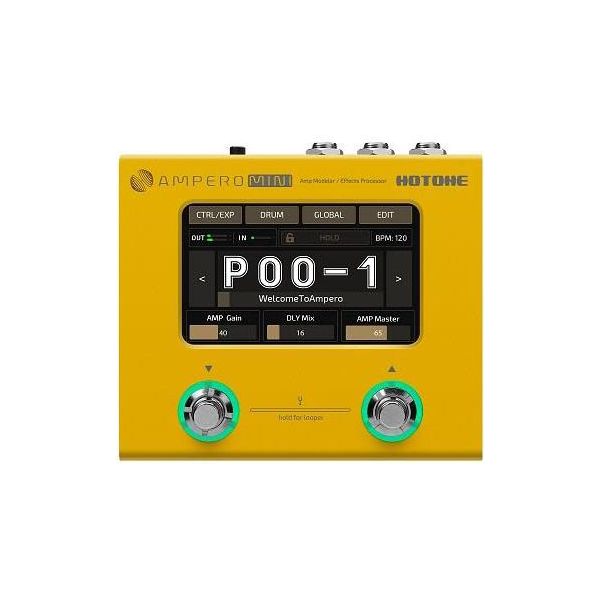 AMPERO MINI MARIGOLD