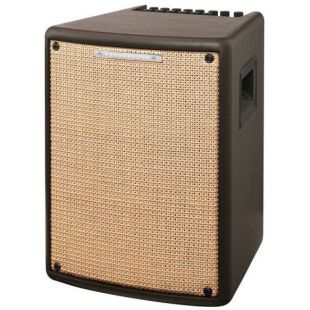 T80II ACOUSTIC COMBO