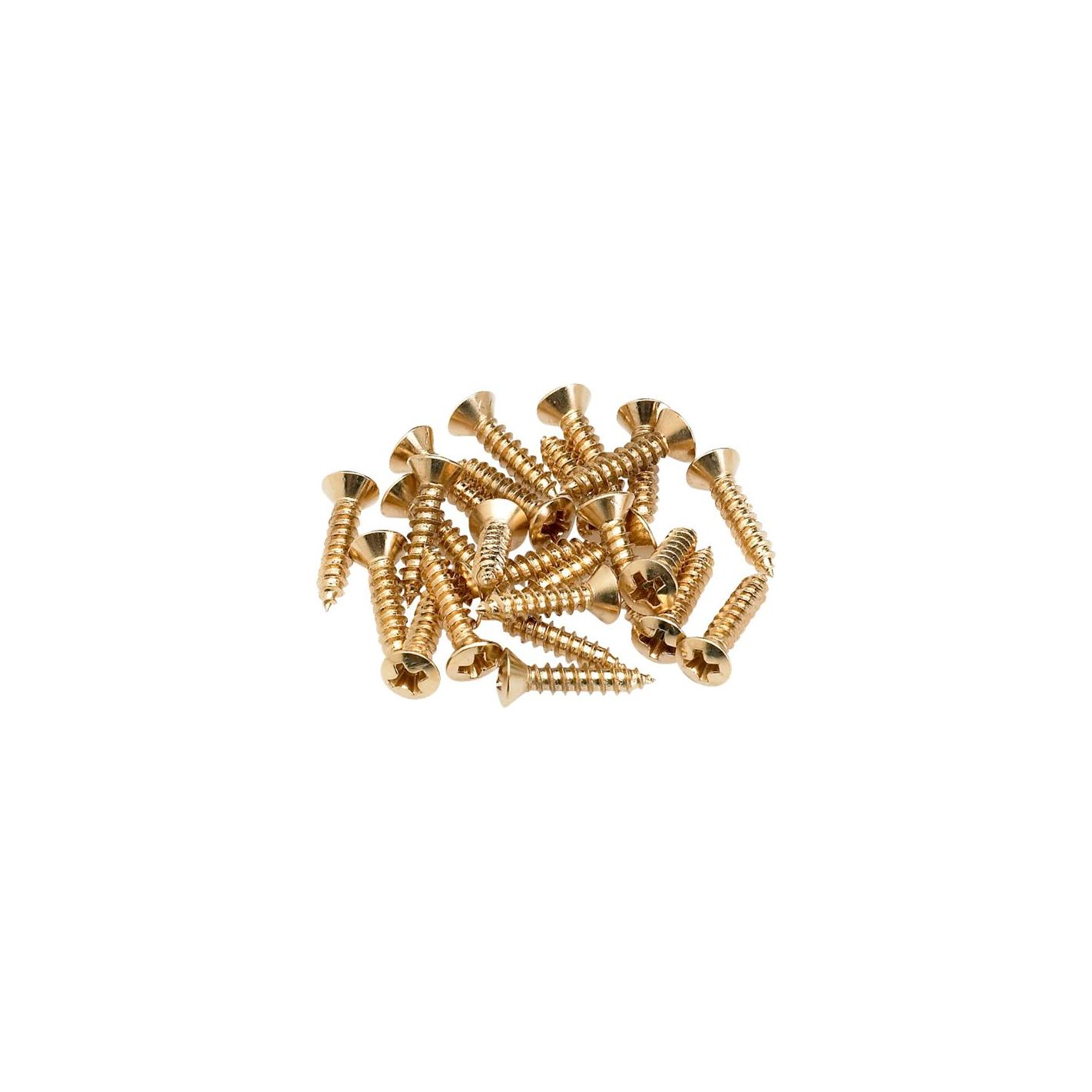 PICKGUARD SCREWS GOLD-24