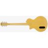 L3 P90 GOLD TOP