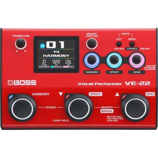 VE-22 VOCAL PERFOMER