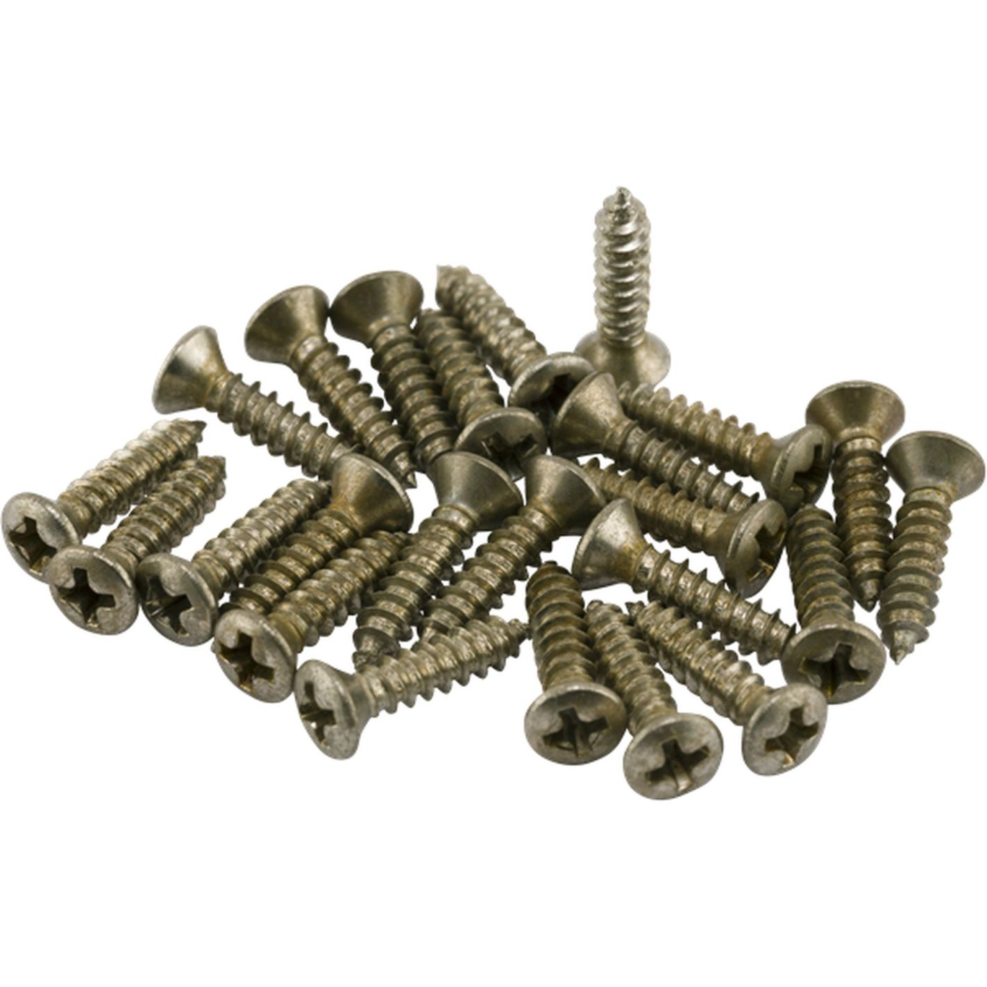 RDWRN PKGRD-CNTRL PLATE SCREWS 24