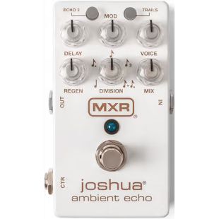 M309 JOSHUA AMBIENT ECHO