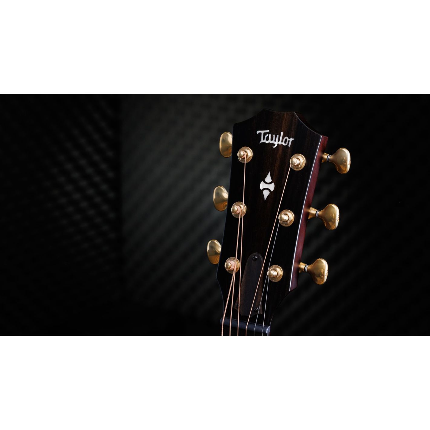 BUILDERS EDITION 314CE LTD KONA BURST 50TH...