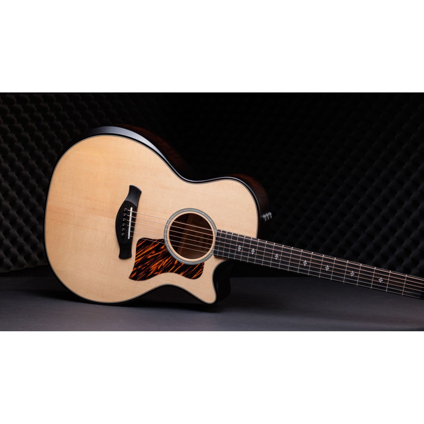 BUILDERS EDITION 314CE LTD NATURAL TOP 50TH...