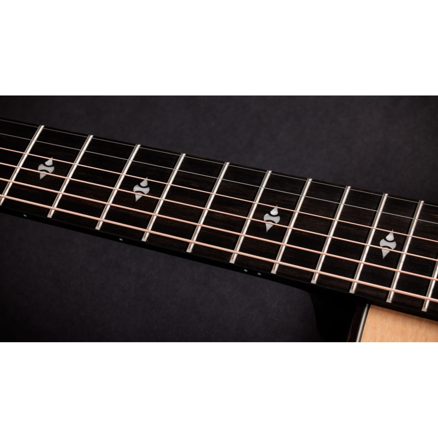 BUILDERS EDITION 314CE LTD NATURAL TOP 50TH...