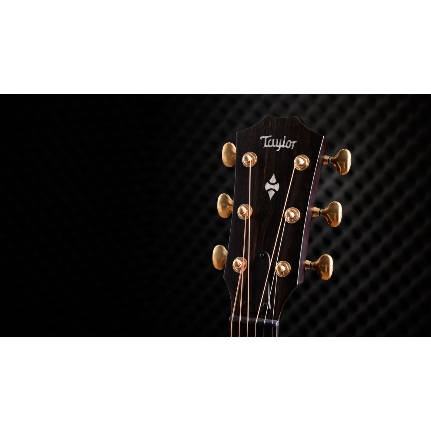 BUILDERS EDITION 314CE LTD NATURAL TOP 50TH...