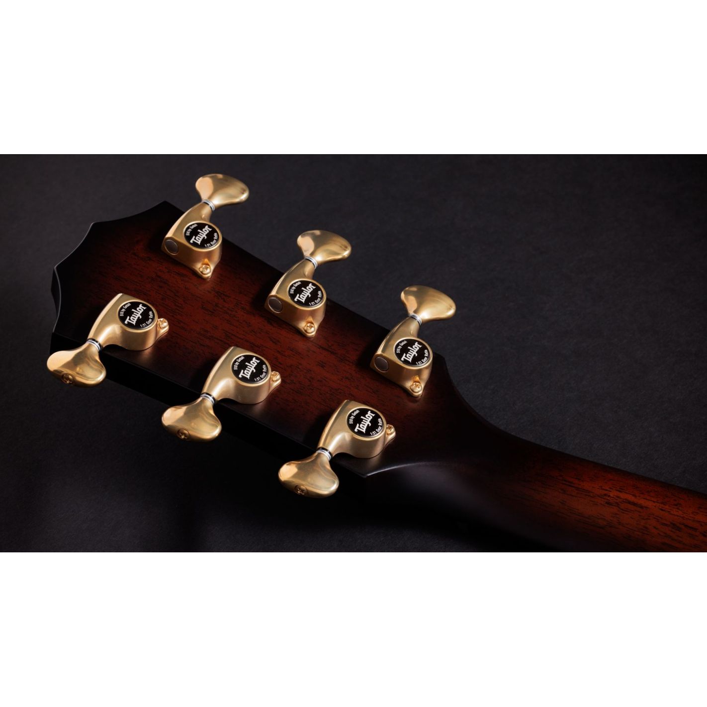 BUILDERS EDITION 314CE LTD NATURAL TOP 50TH...