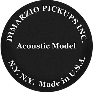 ACOUSTIC MODEL DP130BK