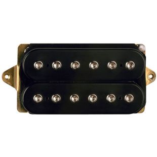 STEVE SPECIAL DP161FBK