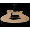 A5 ULTRA NATURAL FRETLESS A-E WITH BAG