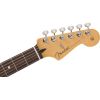 PLAYER II STRATOCASTER HSS RW PWT
