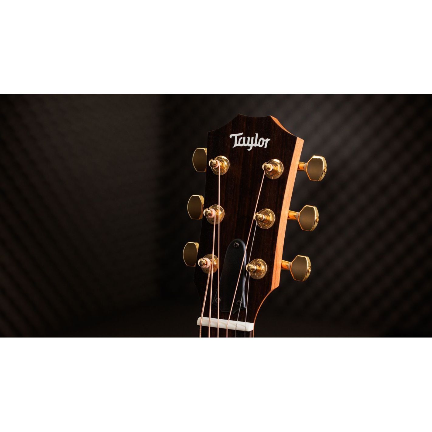 GS MINI-E ROSEWOOD LTD NAT TOP 50TH