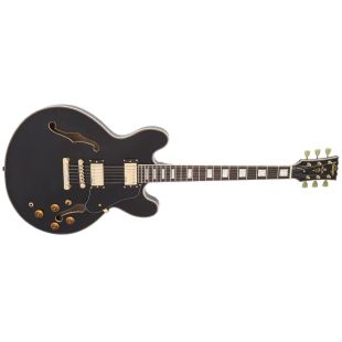 SEMI-AC GUITAR GOLD HARDWARE GLOSS BLACK