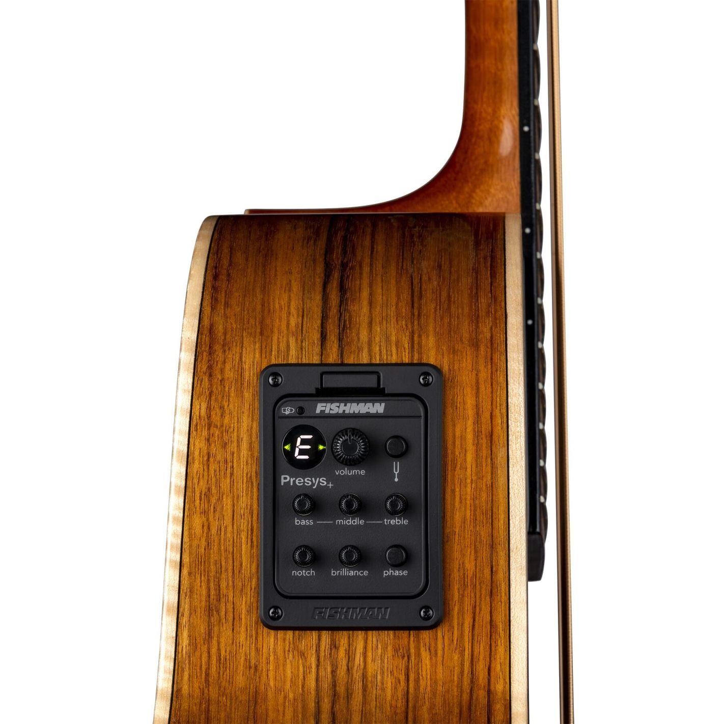 VISTA BEAR BASS TROPICAL WOOD A-E