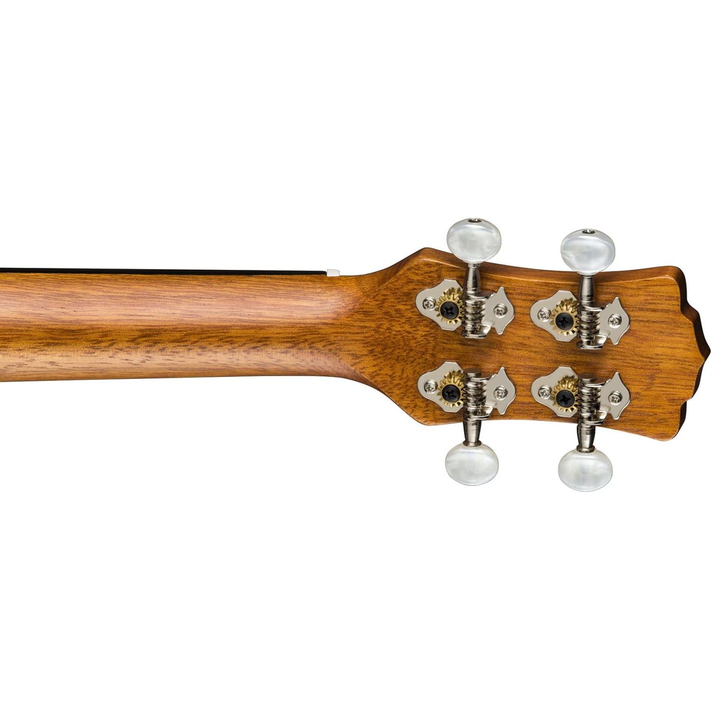 UKE LIZARD MAHOGANY TENOR PACK W-ACC