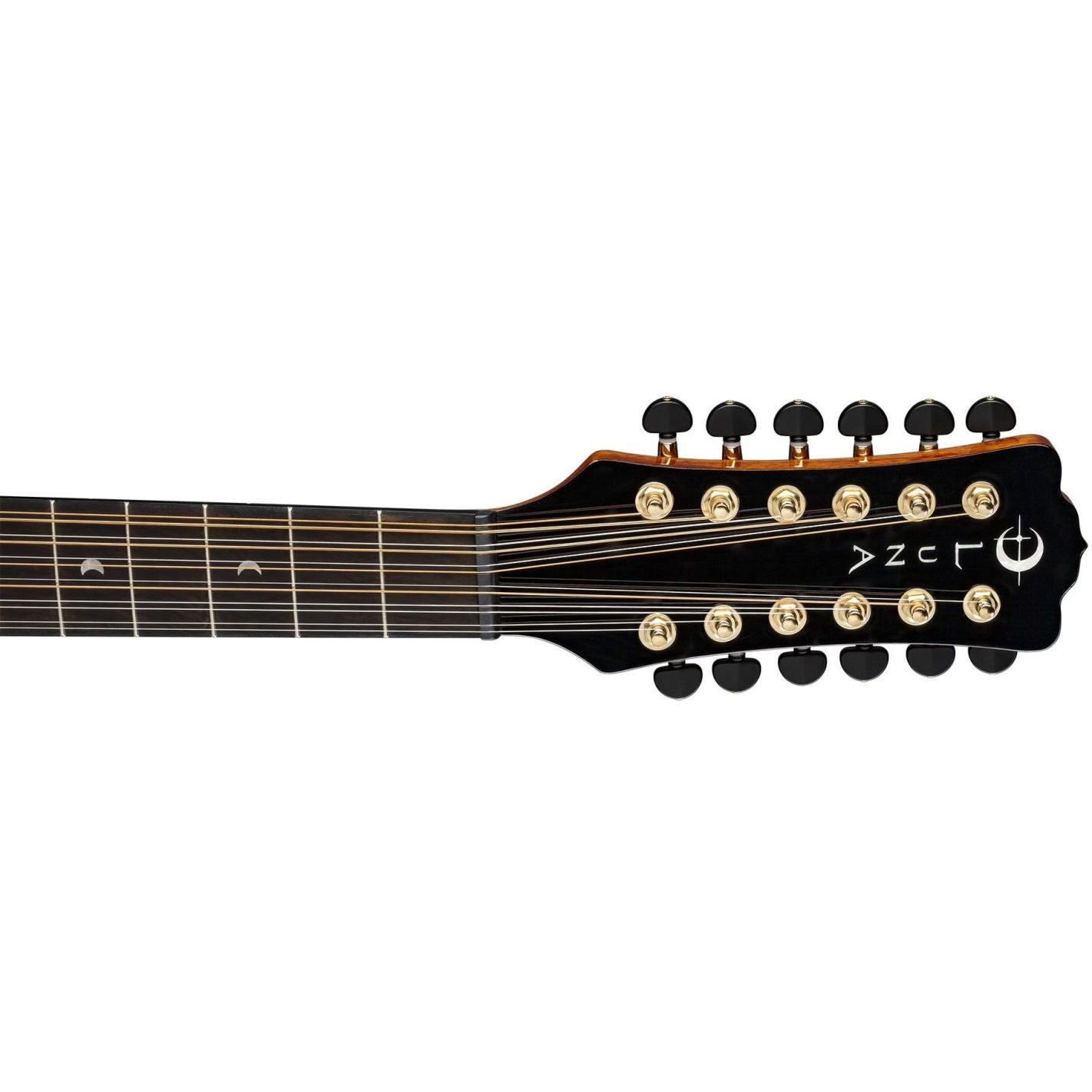 VISTA EAGLE TROPICAL WOOD 12 STRING W-CASE