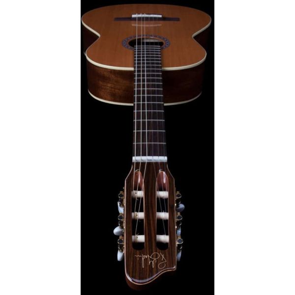 CONCERT LEFT CLASICA II