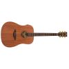 MAHOGANY ELEC DREADNOUGHT GUITAR