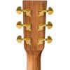 MAHOGANY ELEC DREADNOUGHT GUITAR