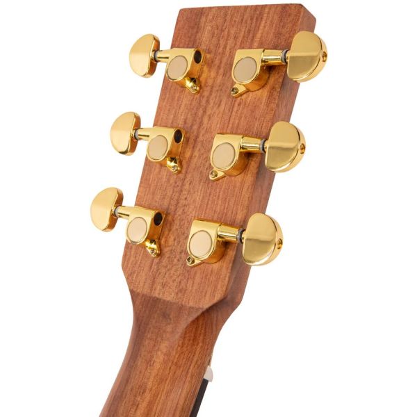 MAHOGANY ELEC DREADNOUGHT GUITAR