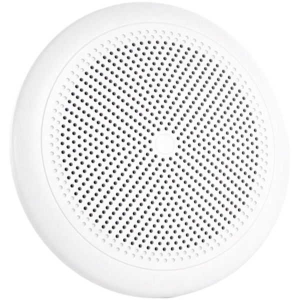WP-5