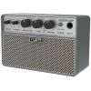 MINI BUSKING AMP
