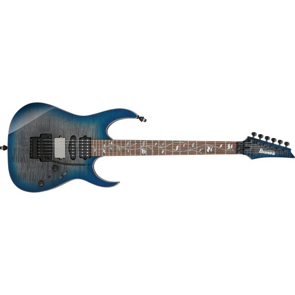 RG8870-SDE