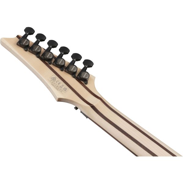 RG8870-BSR