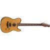 ACOUSTASONIC STANDARD TELE AGN