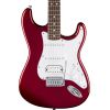 STANDARD STRAT HSS LRL WPG CND