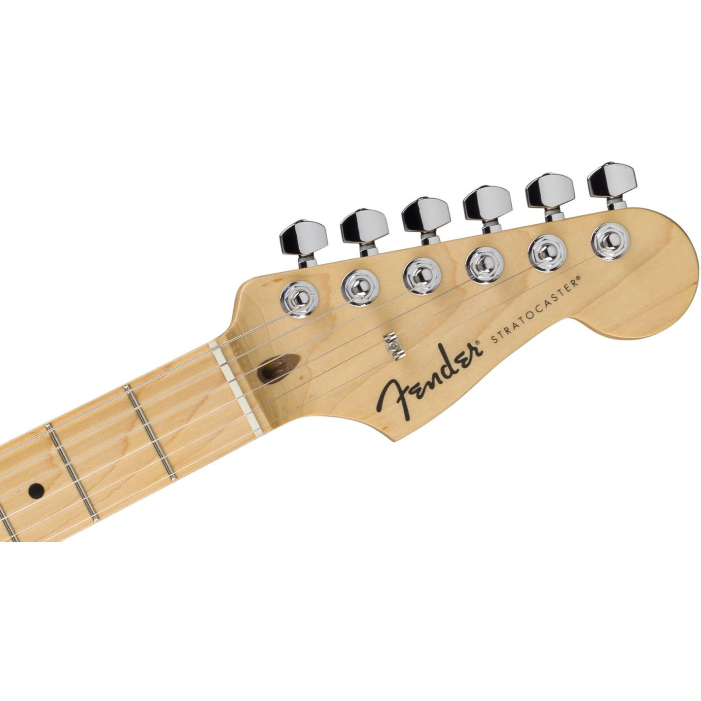 STANDARD STRAT HSS MN WPG AMM