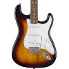 STANDARD STRAT LRL WPG 3TS