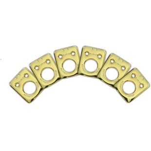 PREMIUM PLATES FOR FENDER STYLE 2 PIN HOLE GOLD