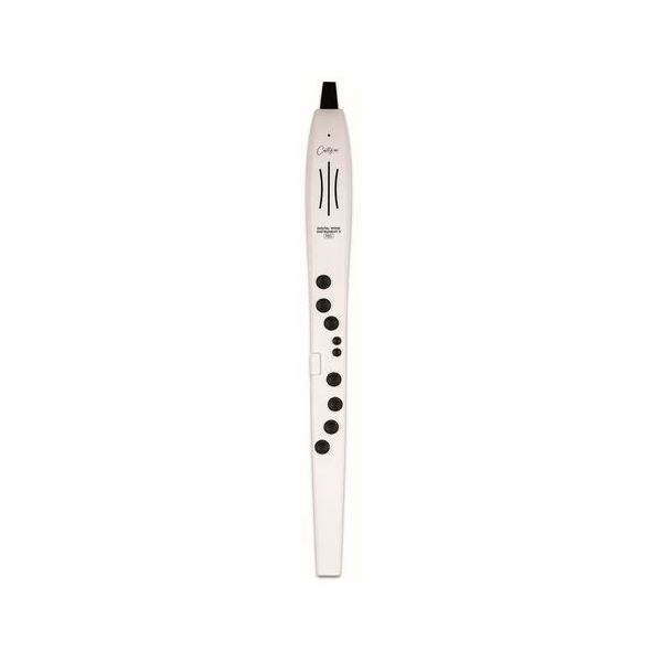 CO-DWI2PRO-WT DIGITAL WIND INSTRUMENT PRO BLANCO