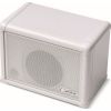 CO-SPEAKER-EXT MINI EXTENSION SPEAKER