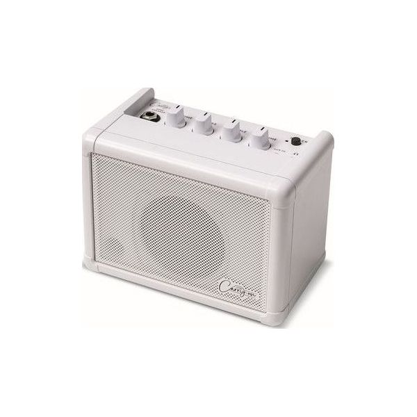 CO-SPEAKER MINI SPEAKER