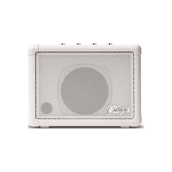 CO-SPEAKER MINI SPEAKER