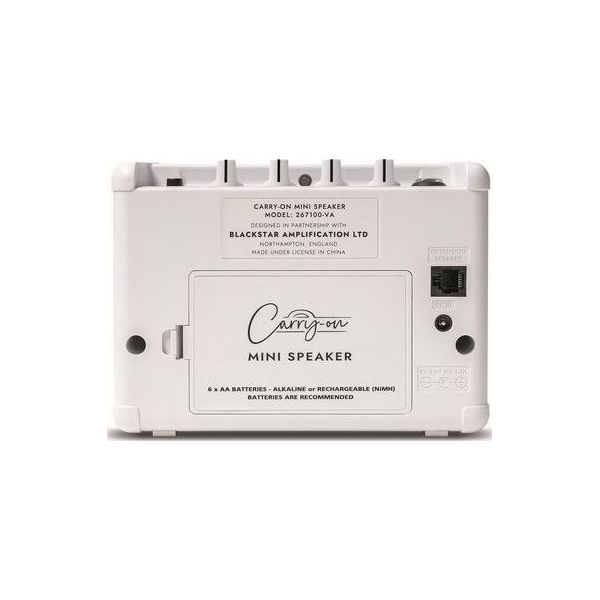 CO-SPEAKER MINI SPEAKER