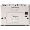 CO-SPEAKER MINI SPEAKER